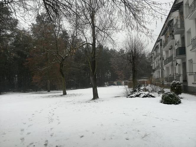 Trzebinia. W ciągu ostatniego półtora roku powstało tu około 25 zapadlisk. To oficjalne dane, bo mieszkańcy mówią nawet o dwukrotnej liczbie