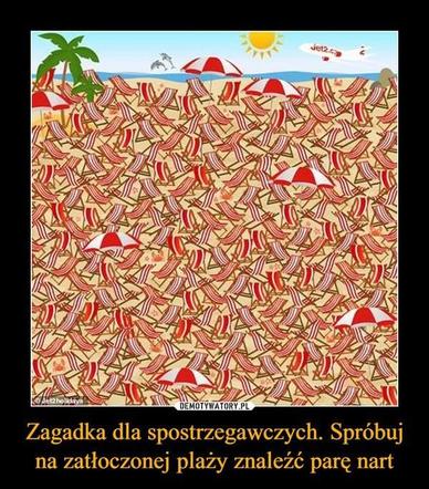 Najlepsze MEMY o narciarzach. Śmieszą do łez!