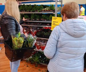 II Festiwal Roślin w Siedlcach odbył się w hali sportowej siedleckiej Samochodówki