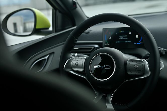 BYD DOLPHIN SURF