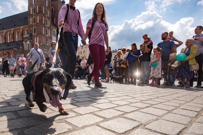 Kraków: Marsz Jaminików 2018. Zobaczcie najlepsze przebrania! [ZDJĘCIA]