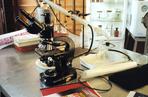 Mikroskom, laboratorium, badania, DNA