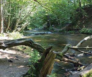 Światowy Dzień Fotografii. Z tych fotek są dumni nasi Czytelnicy! ZOBACZ