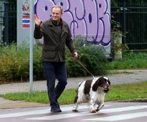 Donald Tusk na spacerze z Portosem