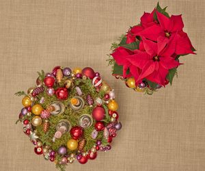 Adwentowa aranżacja z gwiazdą betlejemską