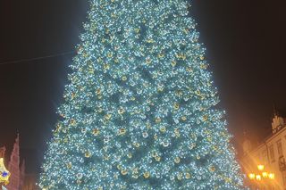 Największa choinka we Wrocławiu już rozświetlona! Tłumy powitały Świętego Mikołaja 