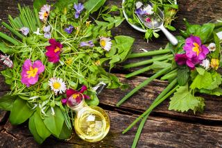 Jadalne chwasty - które dzikie zioła można wykorzystywać w kuchni?