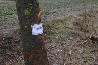 Wypadki pod Zamościem