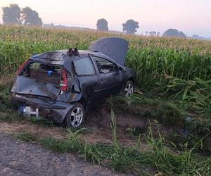 Tajemniczy wypadek pod Gnieznem. 32-latek zginął na prostej drodze