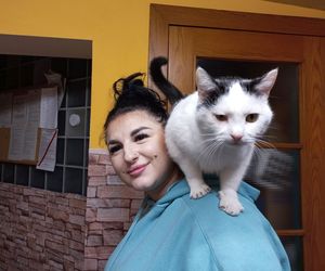 Poszukiwani wolontariusze do pomocy w Kociarni w Lesznie