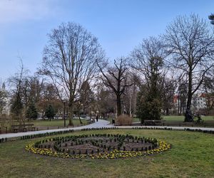 Park Kochanowskiego w Bydgoszczy, czyli serce bydgoskiej Dzielnicy Muzycznej!