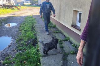 Zmarł bezdomny mężczyzna skatowany przez nastolatków. „To byli normalni chłopcy”