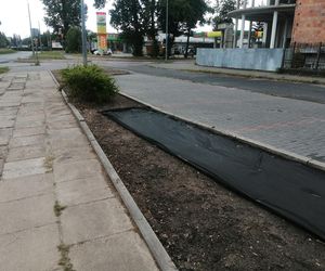 Park kieszonkowy w Siedlcach