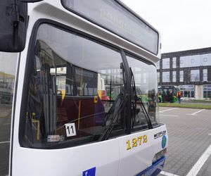 Katarzynki 2024 - wystawa autobusów przy Galerii Panorama