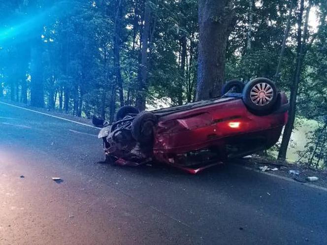 Auto uderzyło w DWA drzewa i dachowało! Świadkowie wyciągali kobietę z auta