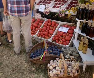 Wydarzenie odbywa się w dniach 7 i 8 września