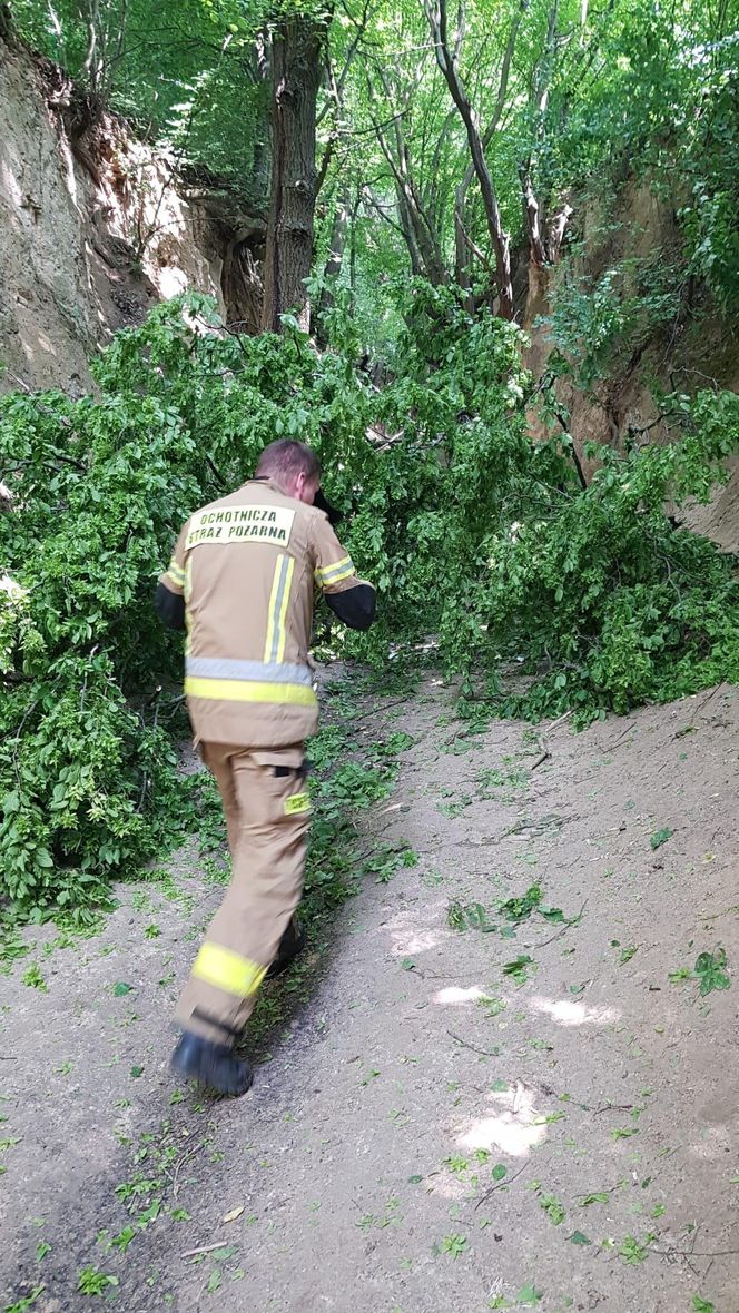 Wypadek w wąwozie Korzeniowy Dół