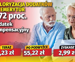 Waloryzacja dodatków do emerytur 5,72 proc.