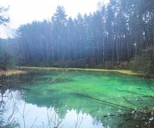 Najpiękniejsze rezerwaty w woj. śląskim