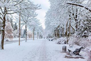 Kiedy w Polsce spadnie śnieg? Przymrozki i biały puch już w listopadzie!