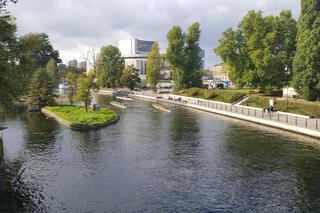 Wielka Wioślarska 2019 w Bydgoszczy 