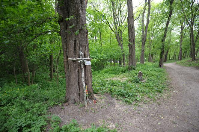 Śmierć Agaty na życzenie