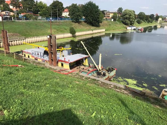 Śnięte ryby na Martówce. Akcja strażaków z Torunia