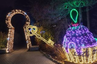 Święty Mikołaj pojawi się w lubelskim Lumina Park. Towarzystwa dotrzyma mu Alicja z Krainy Czarów