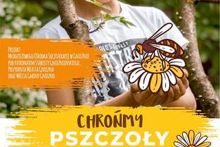 Chrońmy pszczoły 