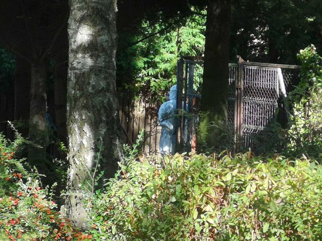 Broń i materiały wybuchowe w mieszkaniu. Konieczna ewakuacja bloku w Olsztynie