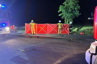 Śmiertelny wypadek na DK 38 pod Kędzierzynem-Koźlem