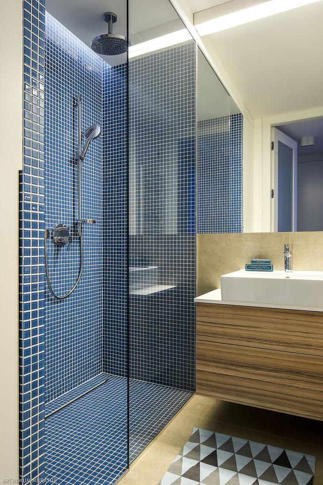 Nowoczesna łazienka: mozaika w strefie prysznicowej