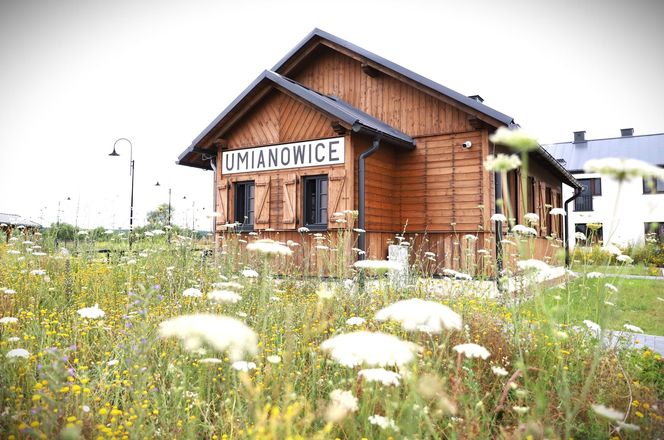 Ponidzie. Konik polski