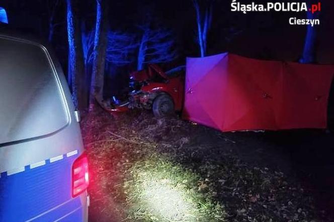 Frelichów: Kierowca wypadł z drogi i uderzył w drzewo. Zginął na miejscu