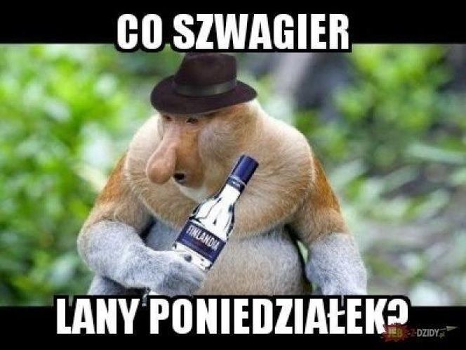 memy lany poniedziałek