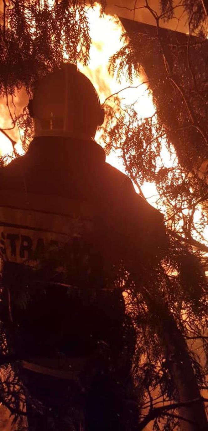 Pożar domków letniskowych w podbydgoskim Borównie! [ZDJĘCIA]