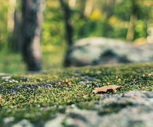 Białystok buduje Park Bioróżnorodności