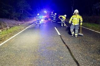 Drzewo runęło na jadący samochód! O krok od tragedii na DK 10 pod Bydgoszczą