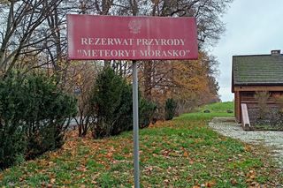 Kosmiczne ślady w Poznaniu. Rezerwat Meteoryt Morasko zachwyca historią i naturą