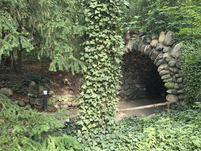 Letni spacer w zielonym sercu Bydgoszczy. Ogród Botaniczny UKW zaprasza!