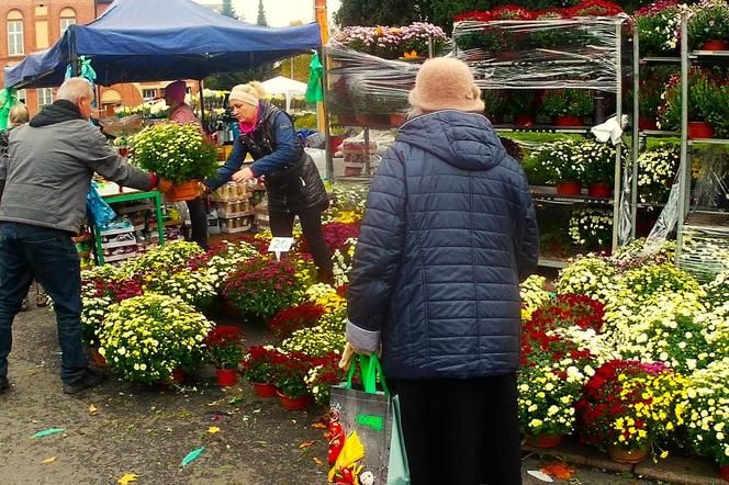 1 listopada na Cmentarzu Centralnym w Szczecinie