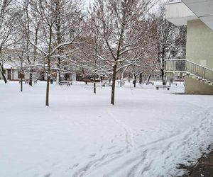 Śnieg zaskoczył mieszkańców Poznania?