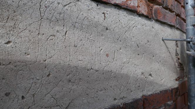 To wyjątkowy symbol miasta pod Olsztynem. Na jego szczycie znajduje się… gniazdo