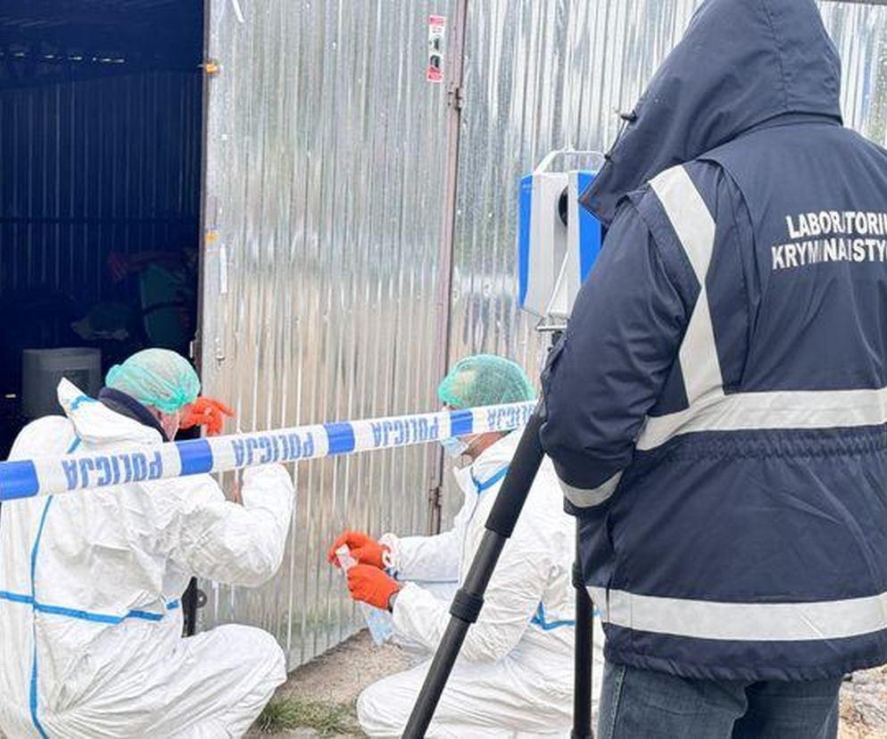 Zamordowali 36-latka, a zwłoki zalali betonem. Wstrząsające szczegóły zbrodni 