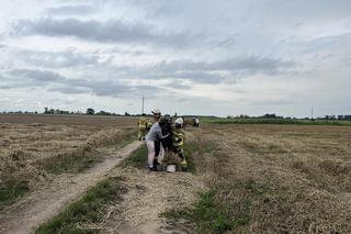 Policjanci i strażacy w akcji. Łapali uciekinierów z zagrody