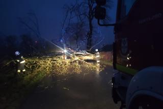 Niż Niklas w Zachodniopomorskiem 