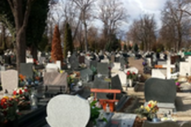 Ujęli Cmentarne hieny