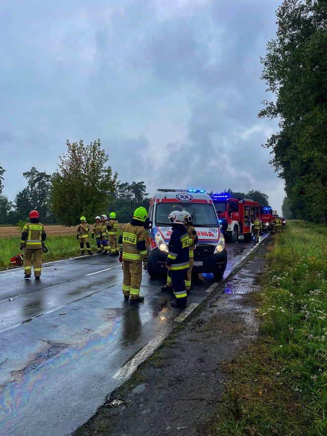 Karambol na DK 24 pod Międzyrzeczem. Zderzenie dwóch osobówek i dwóch ciężarówek