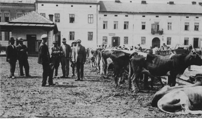 Te historyczne zdjęcia Rzeszowa musisz zobaczyć. Aż trudno uwierzyć, jak zmieniła się stolica Podkarpacia