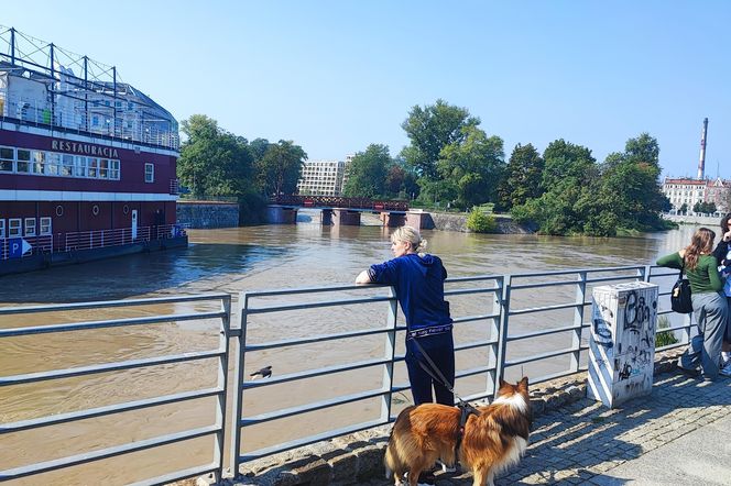 Trwa zabezpieczanie budynków na Wyspie Młyńskiej, na osiedlu Nadodrze 